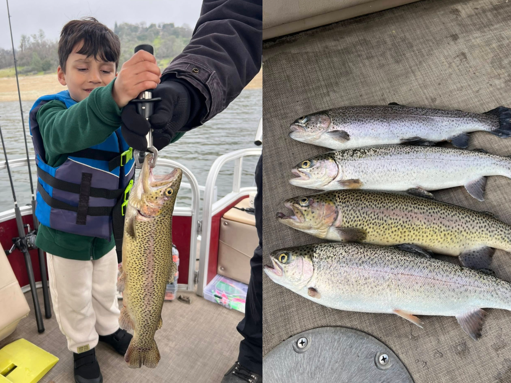 Folsom Lake Action Heating Up