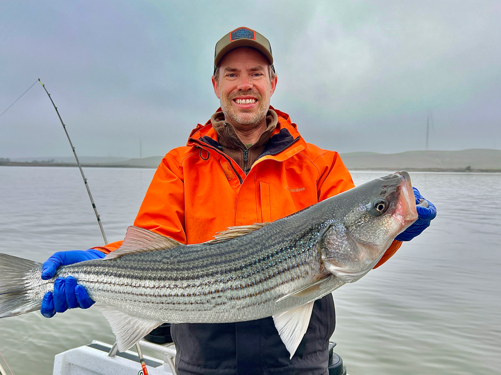 The Fog Bowl of 2025