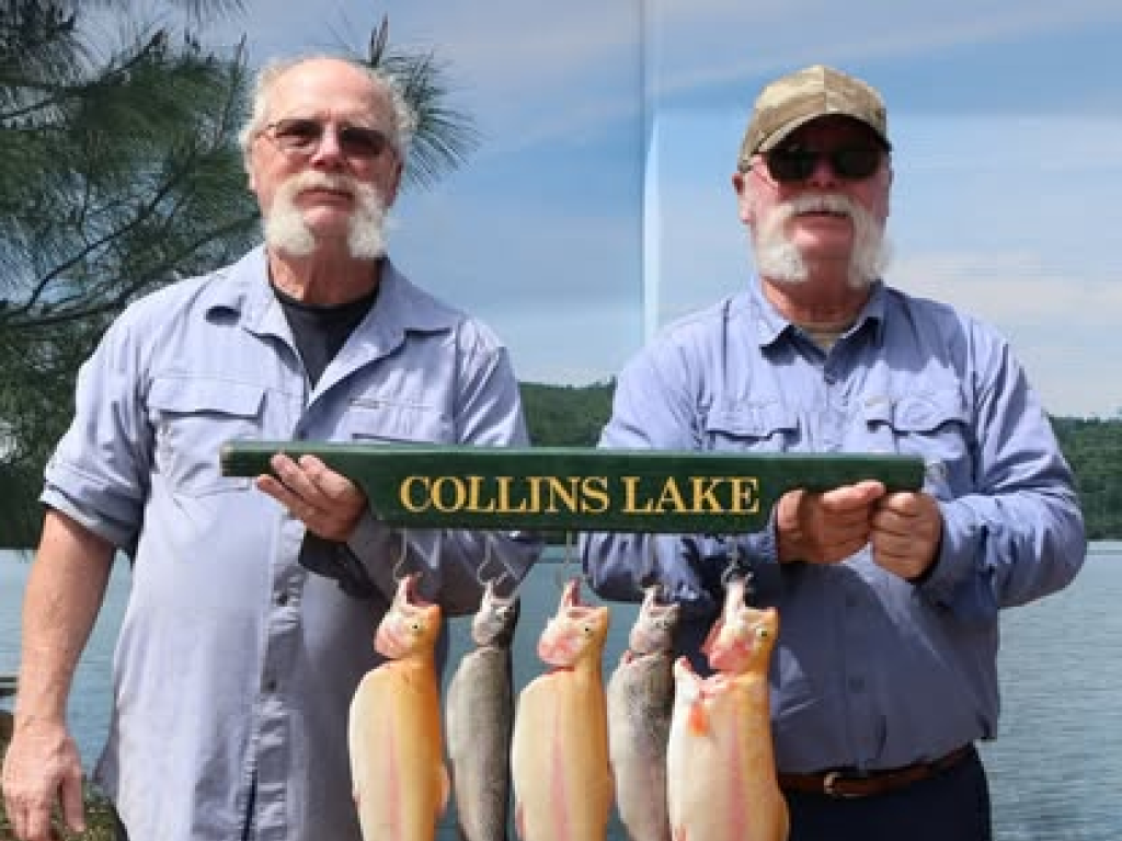 Collins Lake Fishing Report