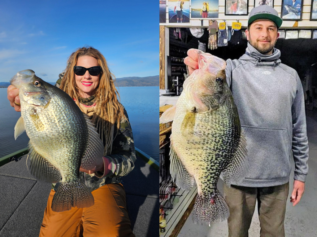 Clear Lakes Silver Rush