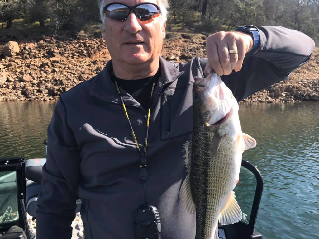 Fish photo