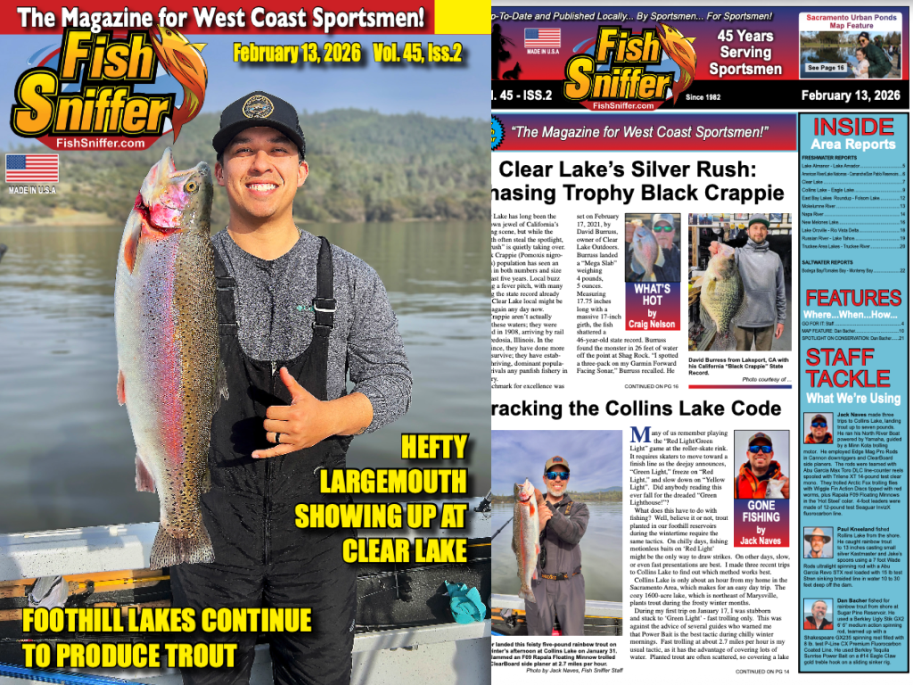 Volume 45 Issue 2 Out Now!