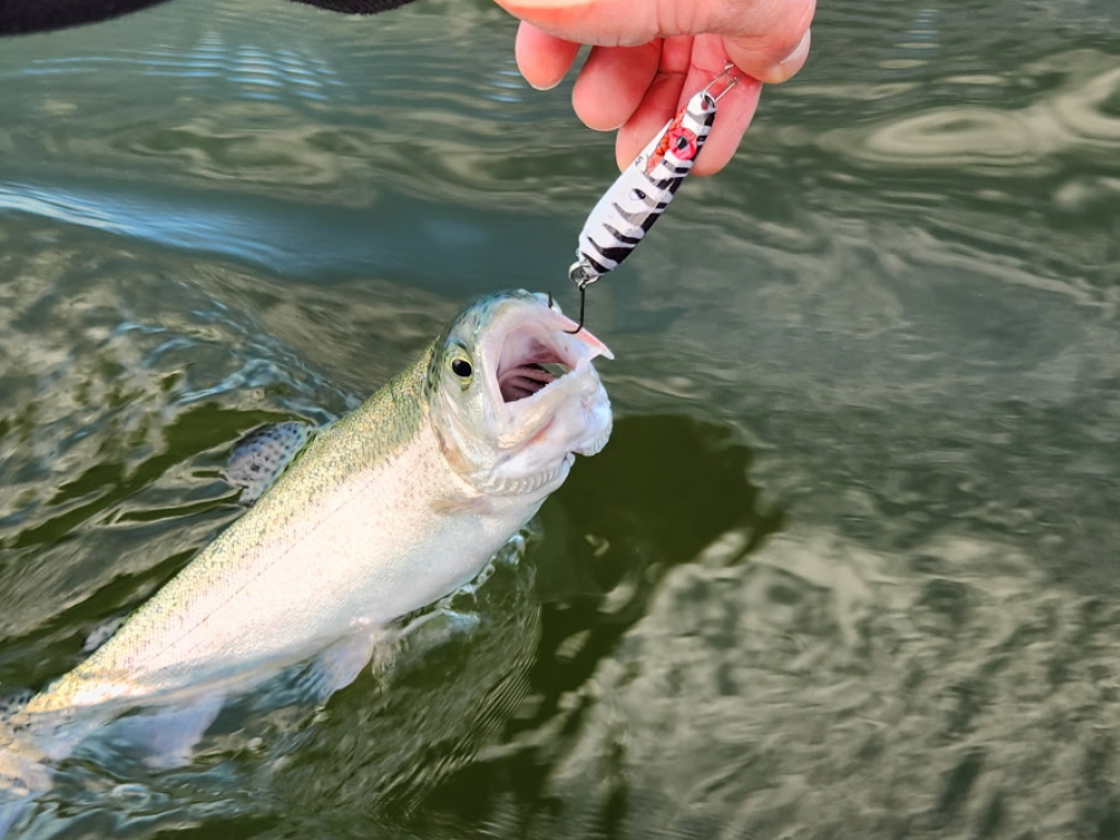 Collins Lake High Water Update: Bait Fishing Beats Slow Trolling