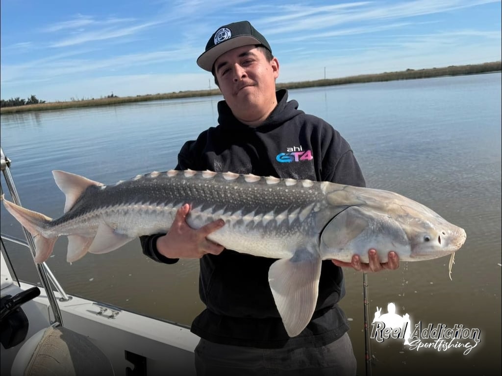 Reel Addiction Kicks Off Sturgeon Scouting Trips