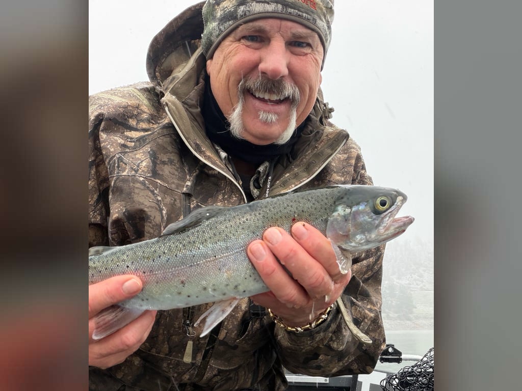 Lake Shasta Fishing Report (Fish Sniffer Magazine Issue 4503)