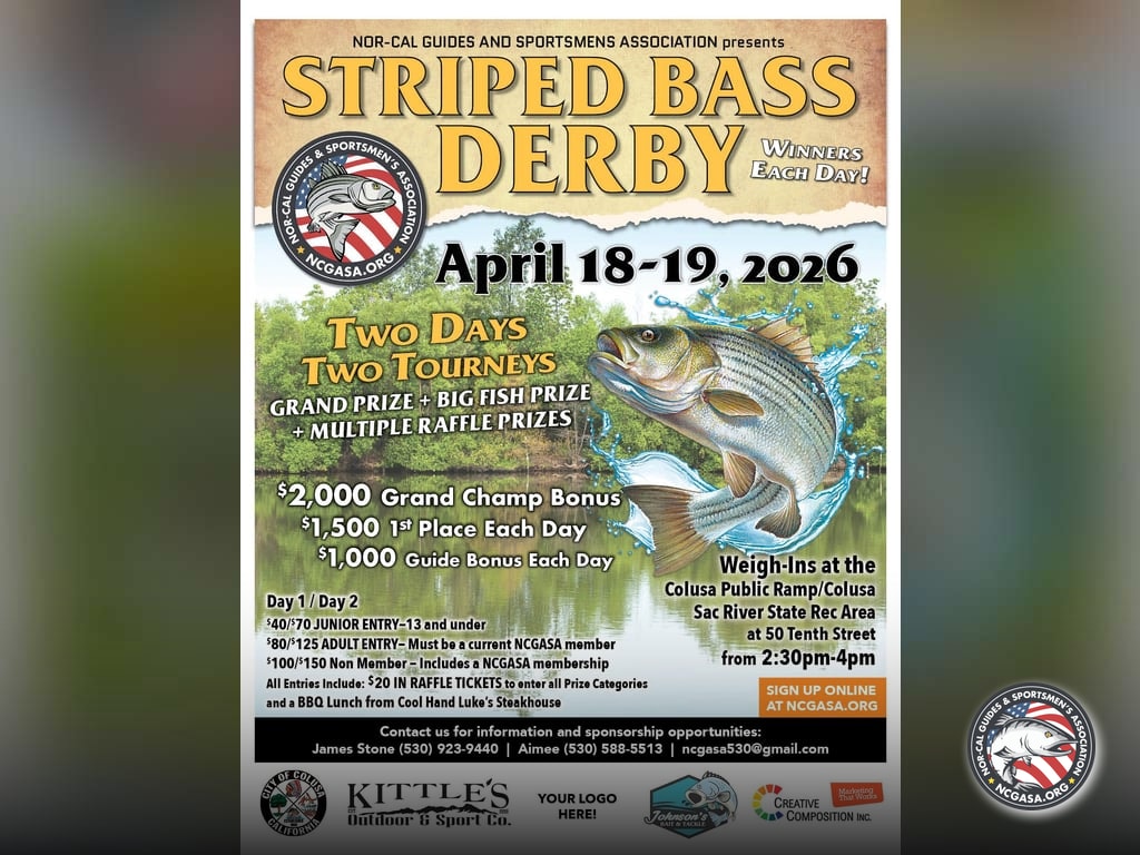 Derby Weekend for Sacramento River Stripers