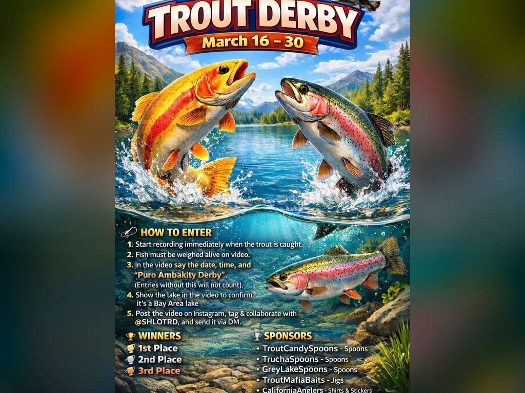 Bay Area Online Trout Derby Kicks Off