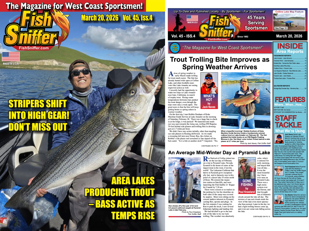 Volume 45 Issue 4 Out Now!