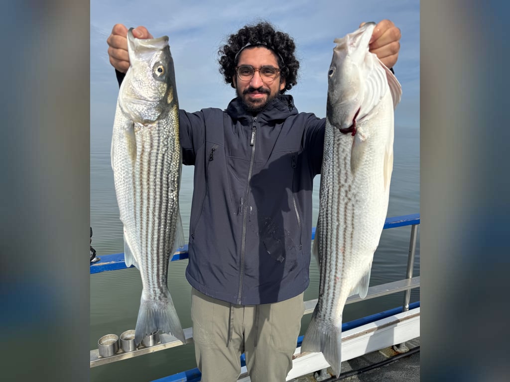 Rio Vista/Delta Fishing report