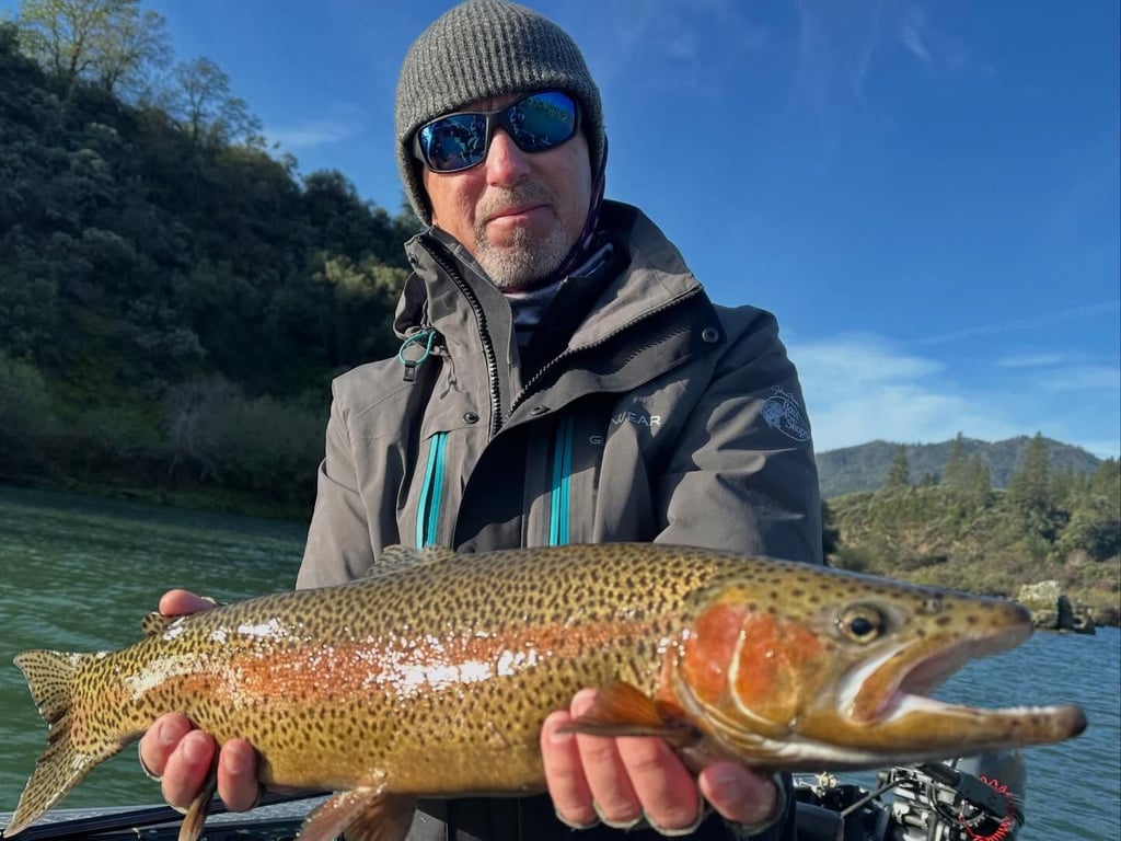 Lake Shasta Fishing report