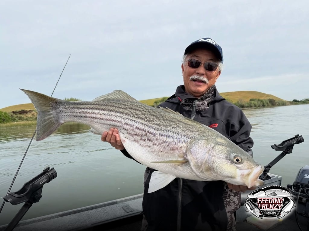 23 lb. Striper, Halibut in May