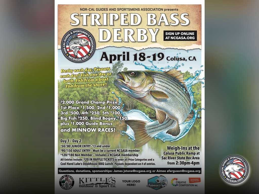 Derby Weekend for Sacramento River Stripers