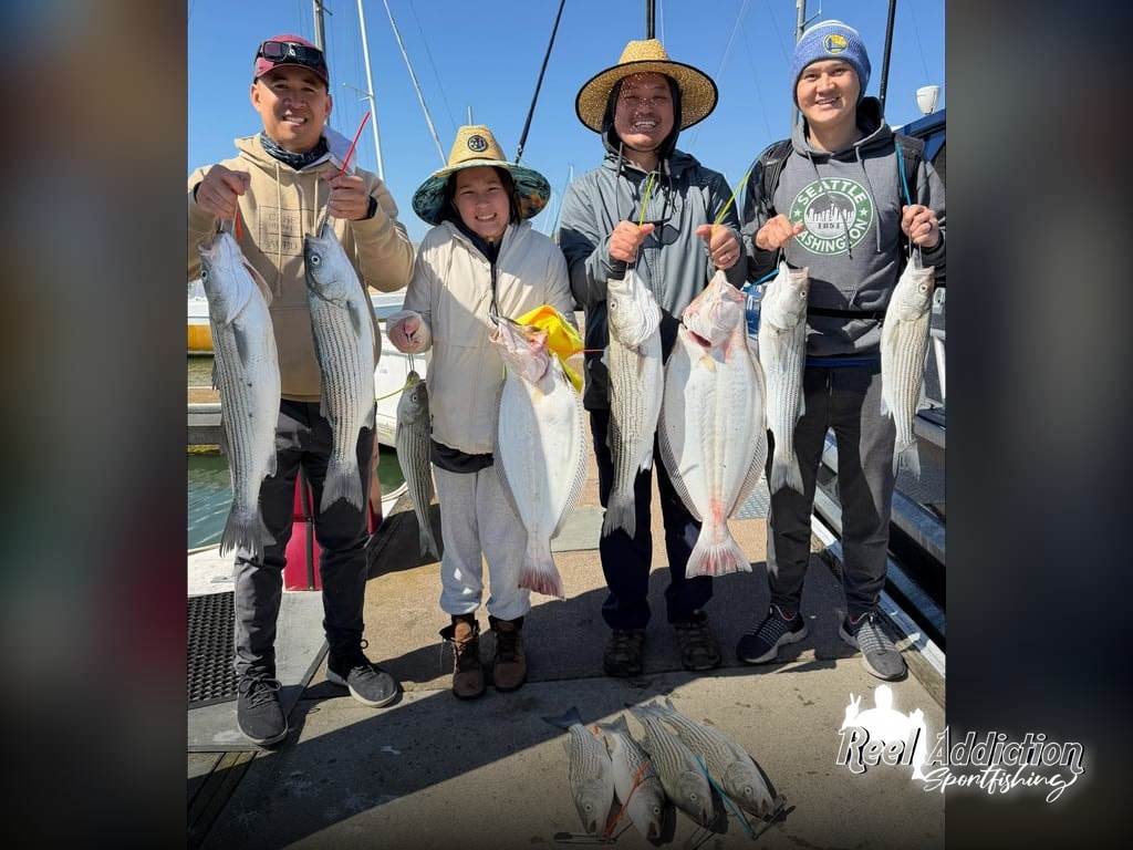 Halibut Season Starts Strong (with Stripers!)
