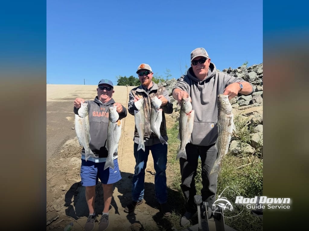 Sac River and Delta Stripers