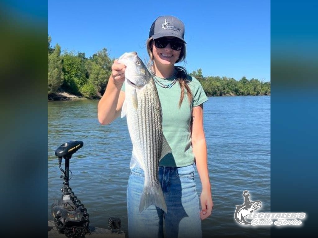 Next Generation of Lechtaler's Don't Miss