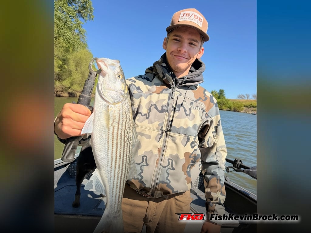 Designed for Stripers, And It Works