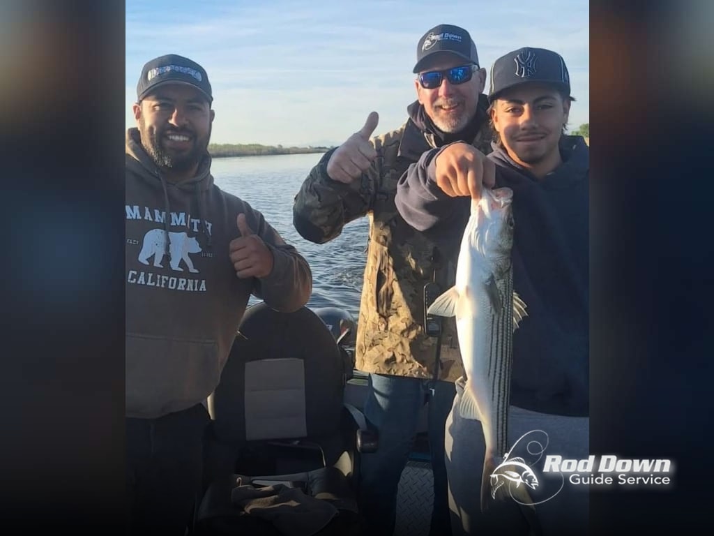 Last Minute Deal Out of Verona