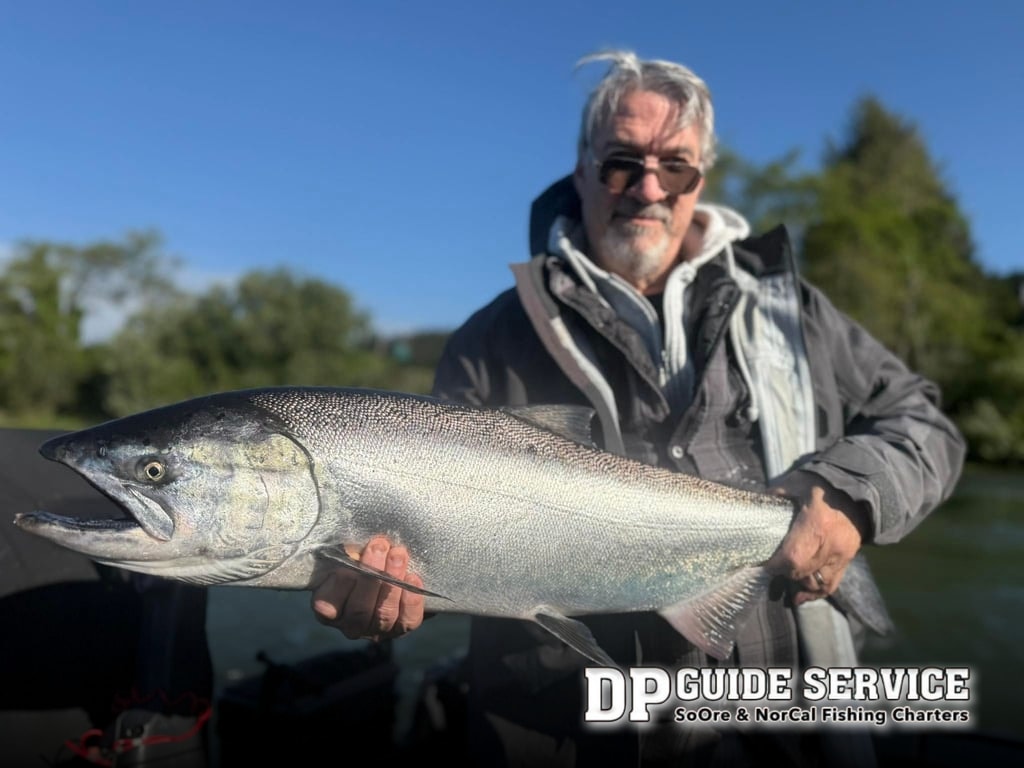 Rogue River Springers and Kings from the Salt