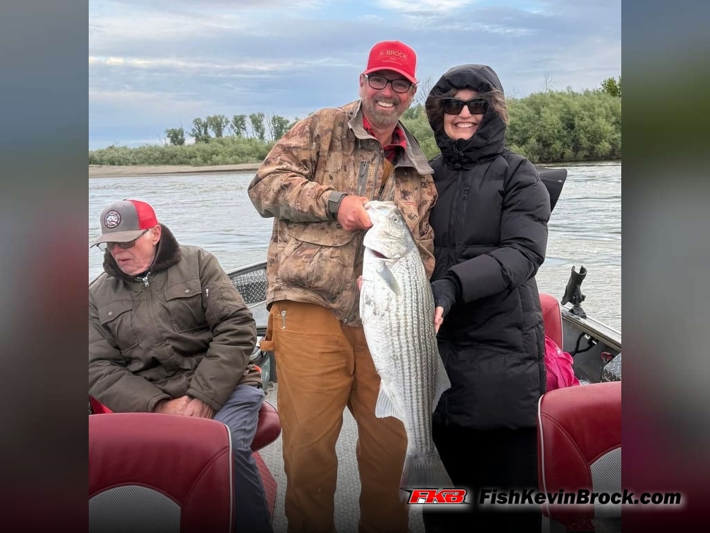 K-Brock Gear Continues to Outperform