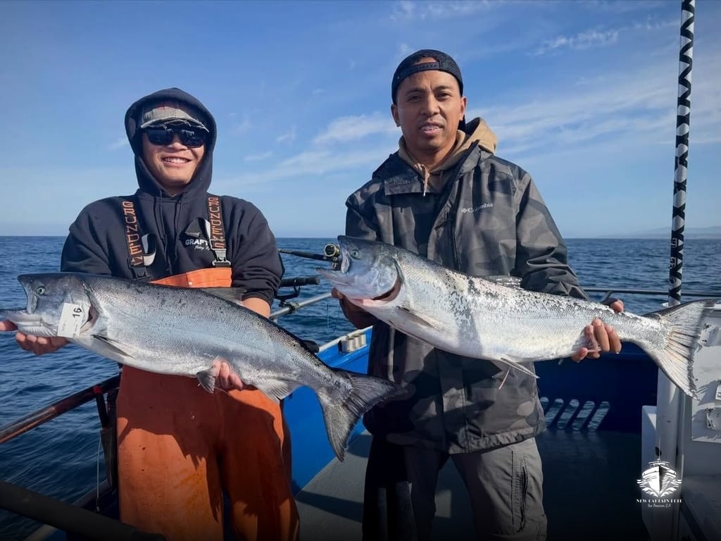 Salmon Are Swimming Deep