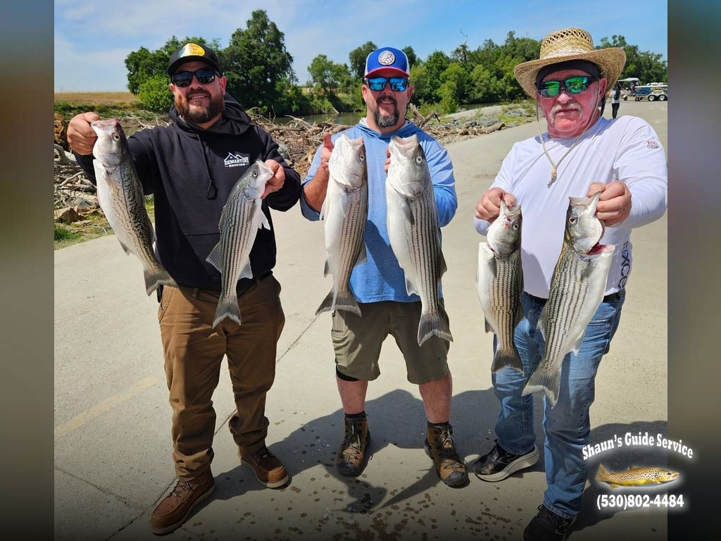 NCGASA Day 1 Recap with Shaun Rainsbarger