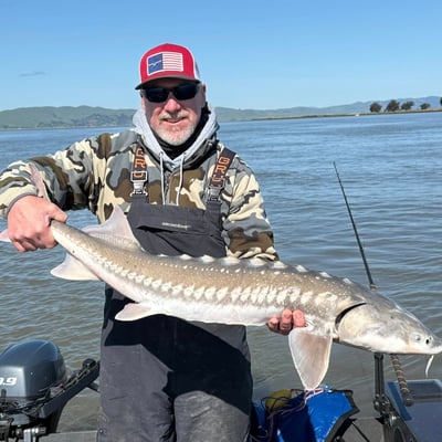 Brandon Abernathy profile