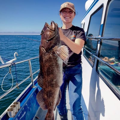 Melynda Dodds profile