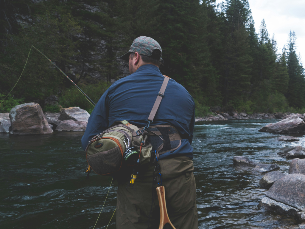 Lake Berryessa Take Your Pick of Rainbow Trout or Black Bass