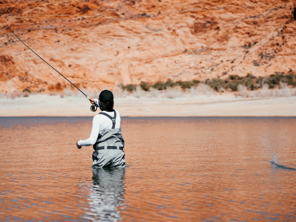 Fish photo