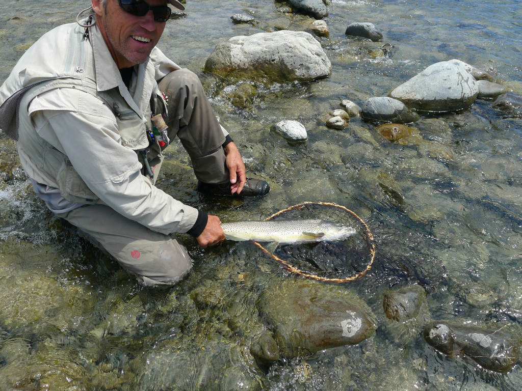Fish photo