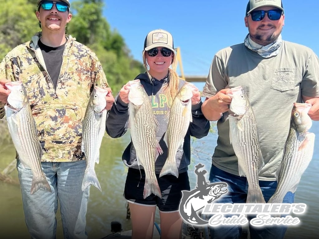 Delta Stripers Starting Their Spring Push