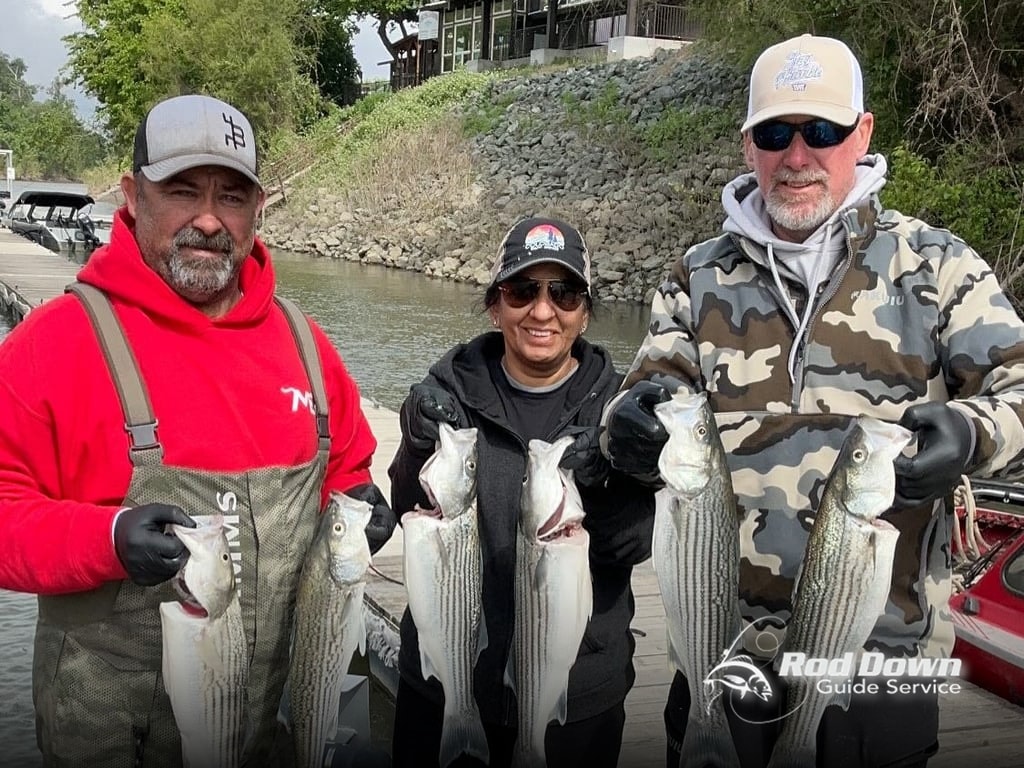 Get on the Water with Rod Down Guide Service