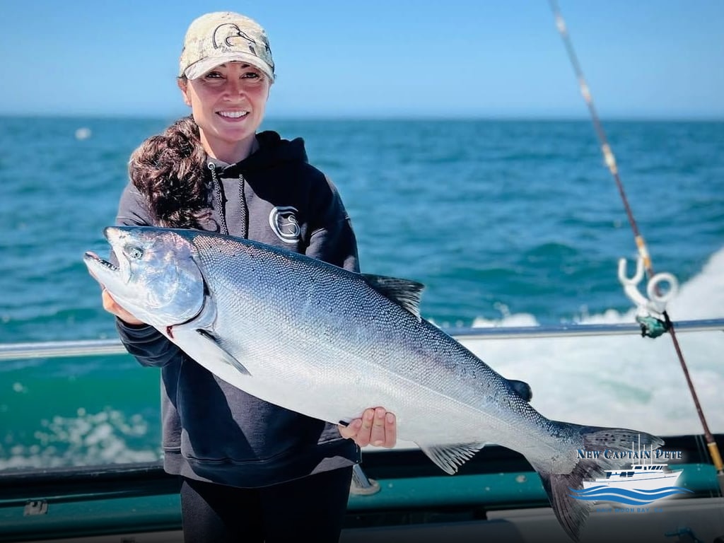 Bonito Swimming With The Salmon - Half Moon Bay